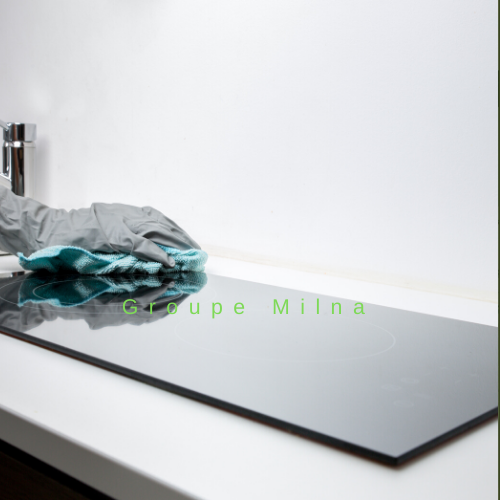 Groupe Milna Inc | 3165 Rue William, Saint-Hubert, QC J4T 2W7, Canada | Phone: (438) 832-9666