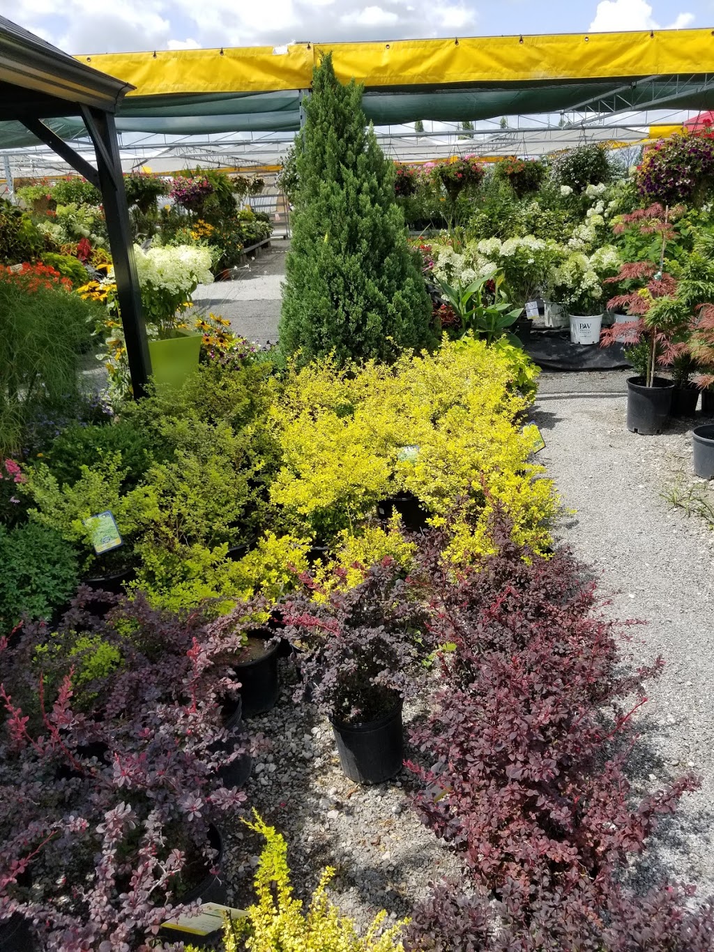 Silver Leaf Nursery and Garden Centre/ Landscaping | 5145 Kalar Rd, Niagara Falls, ON L2H 1T1, Canada | Phone: (289) 214-1967