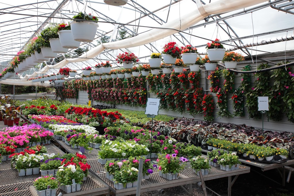 Jardinerie F Fortier Inc (La) | 99 116 Rte E, Princeville, QC G6L 4K6, Canada | Phone: (819) 364-5009