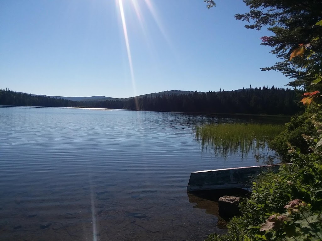 Coleman State Park | 1166 Diamond Pond Rd, Stewartstown, NH 03576, USA | Phone: (603) 237-5382