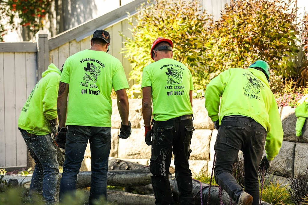 Sturgeon Valley Tree Service | 816 Grandin Dr, Morinville, AB T8R 1T9, Canada | Phone: (780) 939-3936