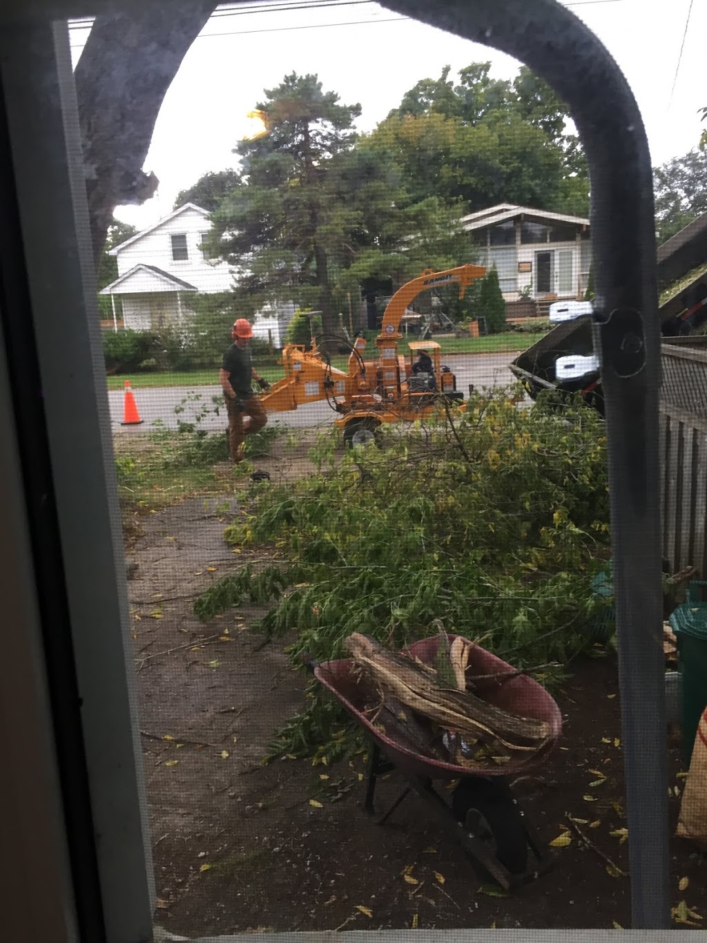 LumberJACK Tree Service | 129 Batteaux Rd, Collingwood, ON L9Y 3Z1, Canada | Phone: (705) 441-3992