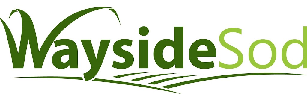 Wayside Sod | 144037 Hawkins Rd, Tillsonburg, ON N4G 4G8, Canada | Phone: (519) 842-4468