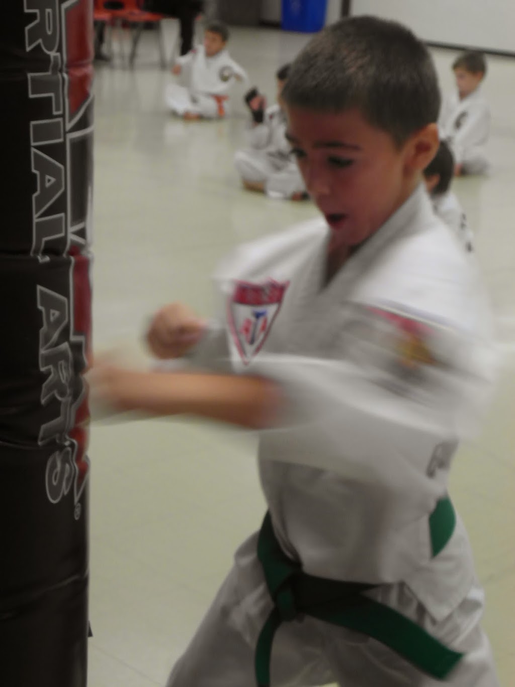 Prestige Martial Arts | 45530 Spadina Ave, Chilliwack, BC V2P 1V3, Canada | Phone: (604) 791-3560