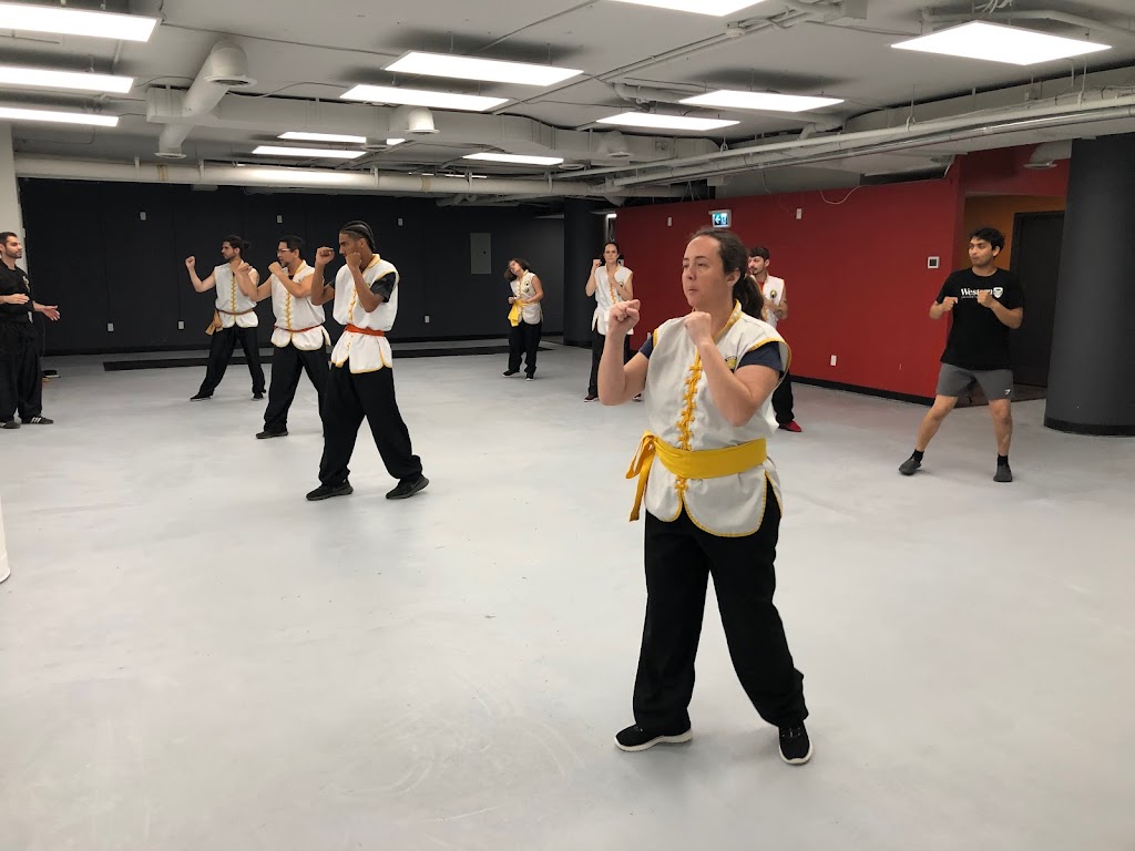 Kung Fu & Tai Chi School | 190 Wortley Rd Unit LL4, London, ON N6C 4Y7, Canada | Phone: (226) 998-8703