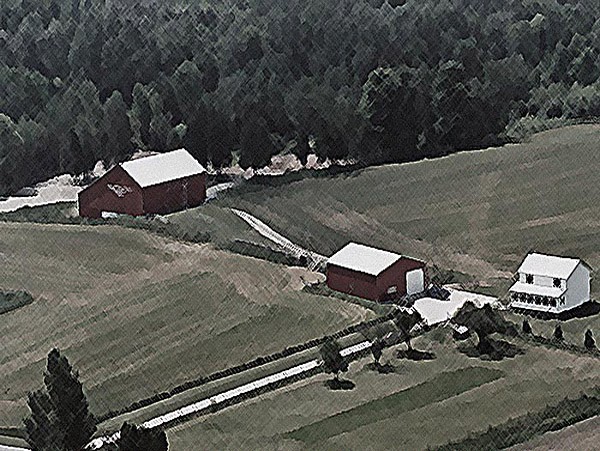 Beastmaster Farm | 1226 Beitz Rd, Breslau, ON N0B 1M0, Canada | Phone: (519) 635-4195