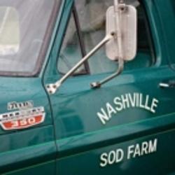 Nashville Sod Supply | Adjala 20 Sideroad, Loretto, ON L0G 1L0, Canada | Phone: (705) 435-7943