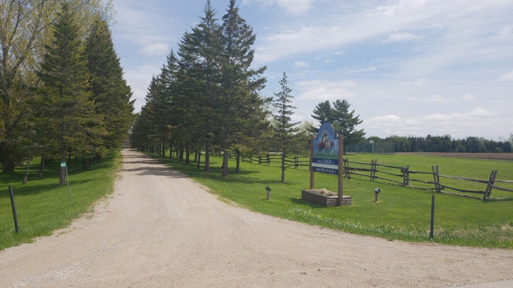 Canadian coptic convent | Brockton, ON N0G 2N0, Canada | Phone: (647) 518-5596