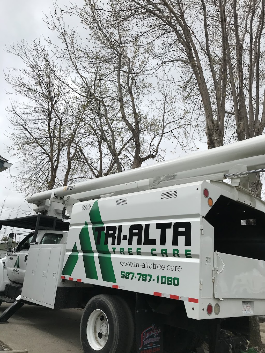 Tri-Alta Tree Care Inc | 3755 18 Ave N, Lethbridge, AB T1H 6T2, Canada | Phone: (587) 787-1080