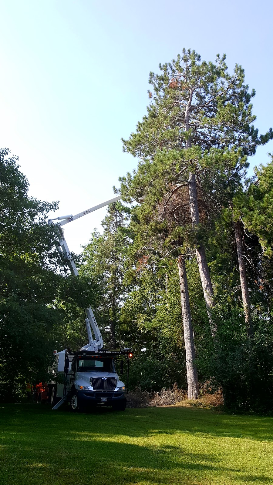 Hannas Contracting & Tree Svc | 796 N Napan Rd, Napan, NB E1N 5E2, Canada | Phone: (506) 773-9967