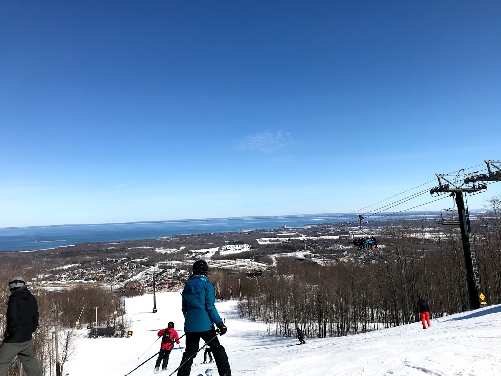 Mountaintop Segway Tours | 115 Swiss Meadows Blvd Unit AS7, Ravenna, ON N0H 2E0, Canada | Phone: (833) 583-2583