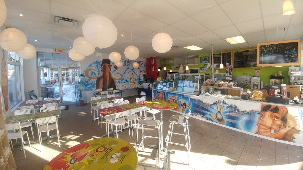 LEre Des Glaces | 1462 Boulevard Franquet, Chambly, QC J3L 6K8, Canada | Phone: (450) 658-6268