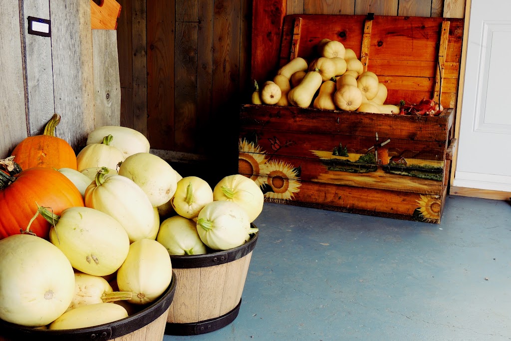 Ferme Du Sillon & Boutique Le Sillon des Saveurs | 151 Rang St Stanislas E, Saint-Alexandre-de-Kamouraska, QC G0L 2G0, Canada | Phone: (418) 495-5331