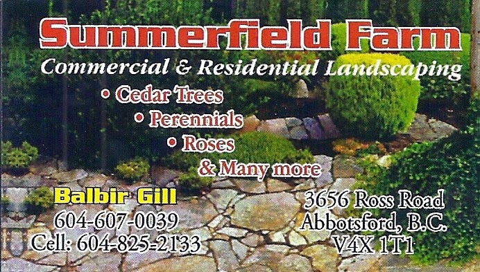 Summerfield Farm | 3656 Ross Rd, Abbotsford, BC V4X 1T1, Canada | Phone: (604) 825-2133