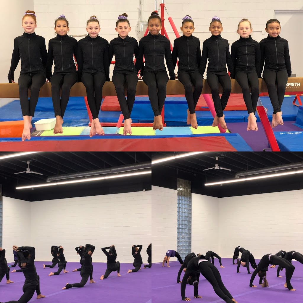 Precision Gymnastics | 3326 Limebank Rd, Ottawa, ON K1V 1H2, Canada | Phone: (613) 608-9002