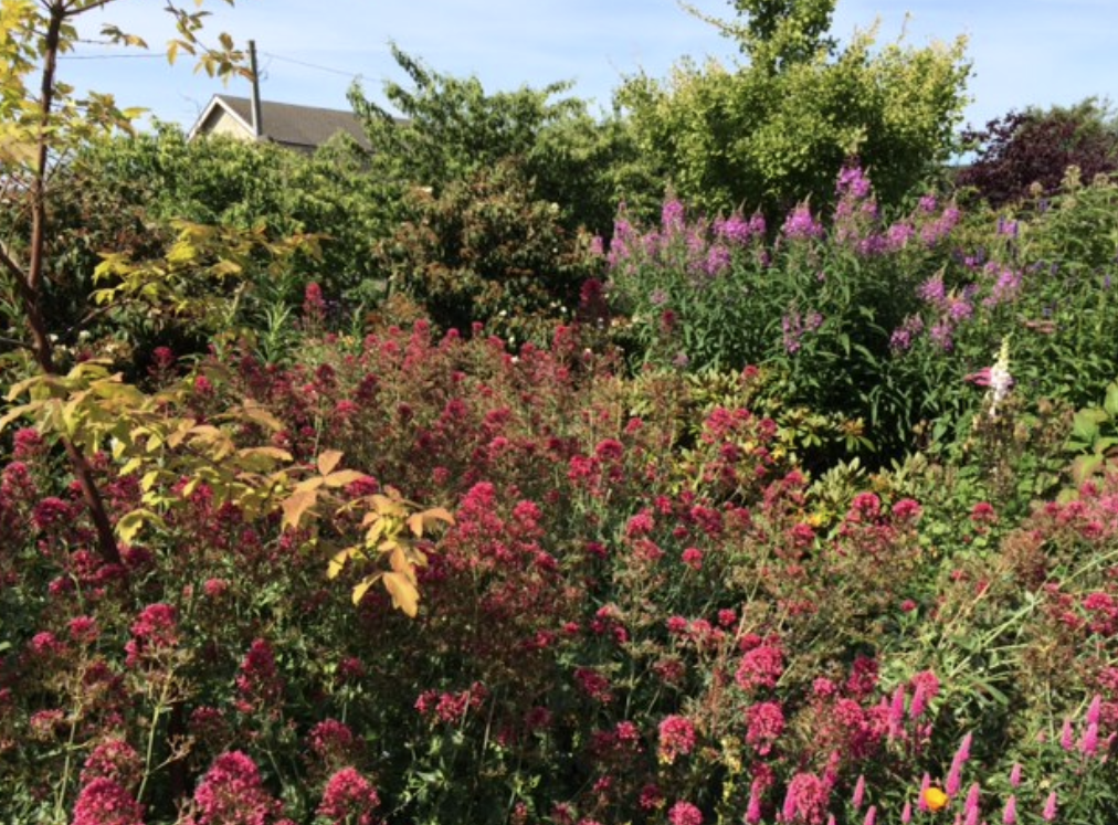 Earthwise Society Demonstration Garden and Farm | 6400 3 Ave, Delta, BC V4L 1B1, Canada | Phone: (604) 946-9828