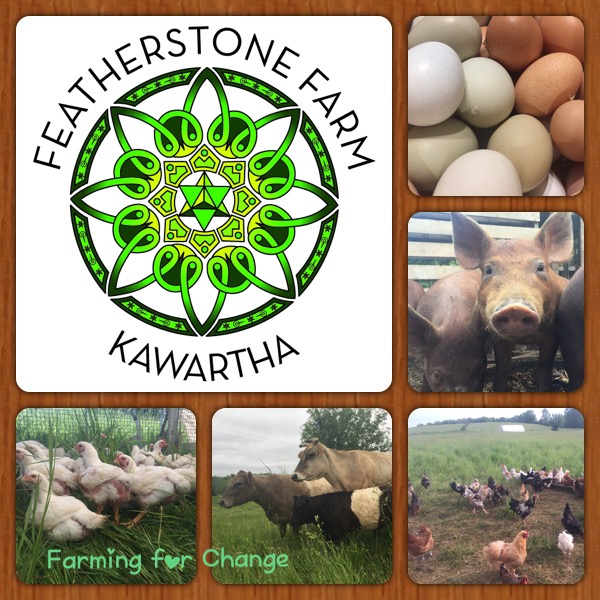 Featherstone Farm | 74 Hayes Line, Omemee, ON K0L 2W0, Canada | Phone: (519) 835-7601