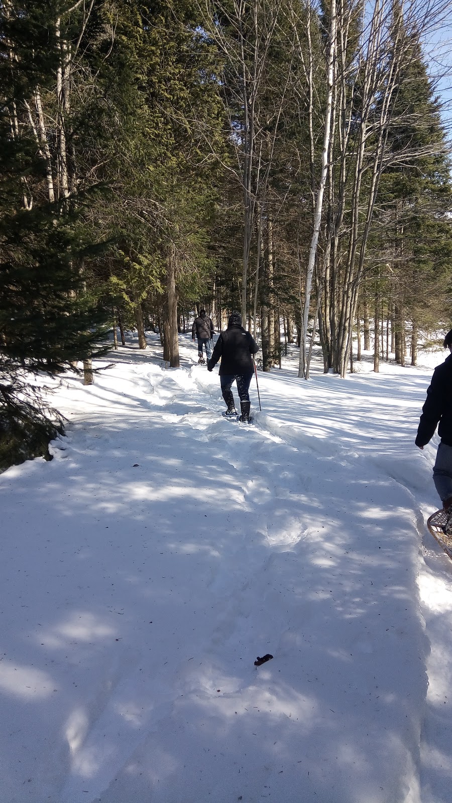 Fiddler Lake 72 | 4 Chemin de lOriole, Mille-Isles, QC J0R 1A0, Canada