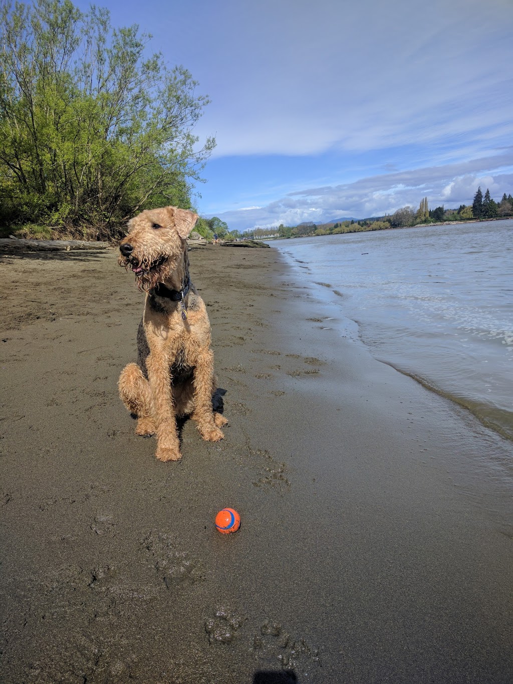 Pirates Cove / McDonald Beach | Richmond, BC, Canada