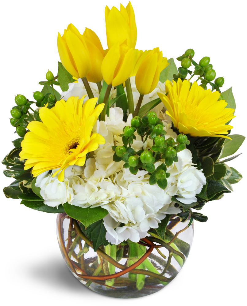 Fellows Fernlea Flowers Ltd | 175 Sunset Dr, St Thomas, ON N5R 3C1, Canada | Phone: (519) 631-3600