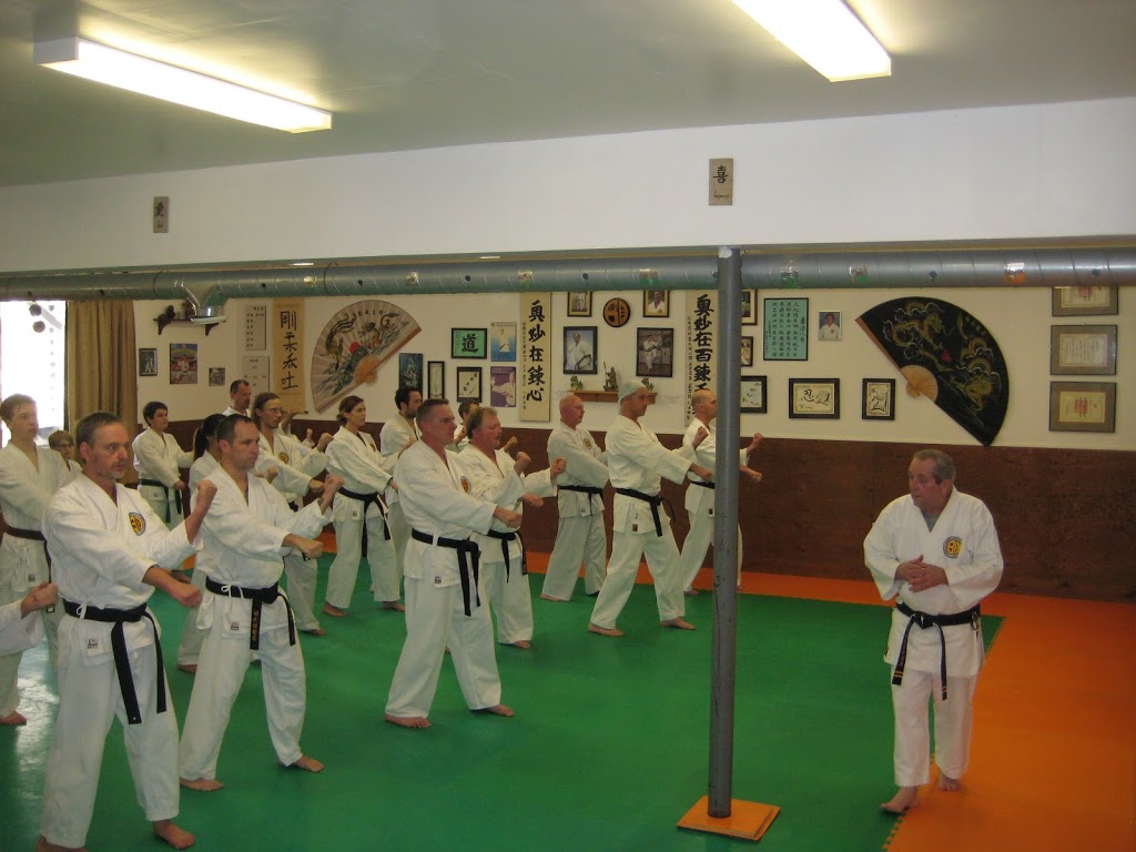 Budokan Karate | 69 Colborne St W, Brantford, ON N3T 1K6, Canada | Phone: (519) 720-9230