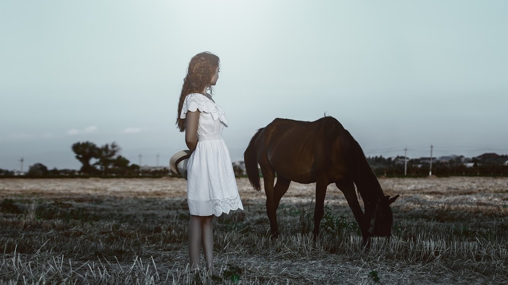 Horse Therapy Centre of Canada | 246 Webb Rd, Whitchurch-Stouffville, ON L4A 7X4, Canada | Phone: (647) 390-5397