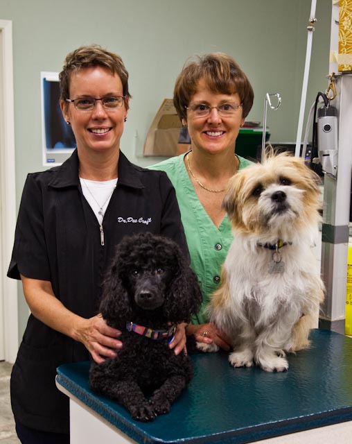 Chicopee Hills Animal Hospital | 1601 River Rd E #28, Kitchener, ON N2A 3Y4, Canada | Phone: (519) 748-6638