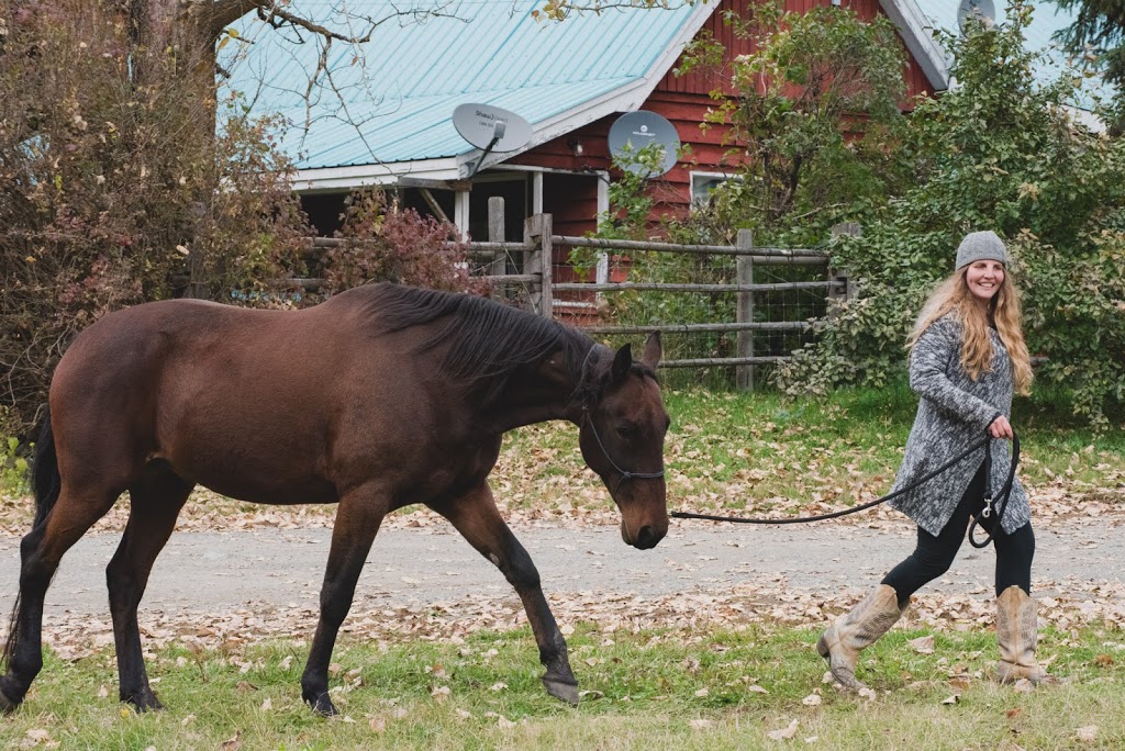 Epona Rise Retreat Center @ Tod Mountain Cabins | 3968 Heffley Louis Creek Rd, Heffley Creek, BC V0E 1Z1, Canada | Phone: (250) 578-0226