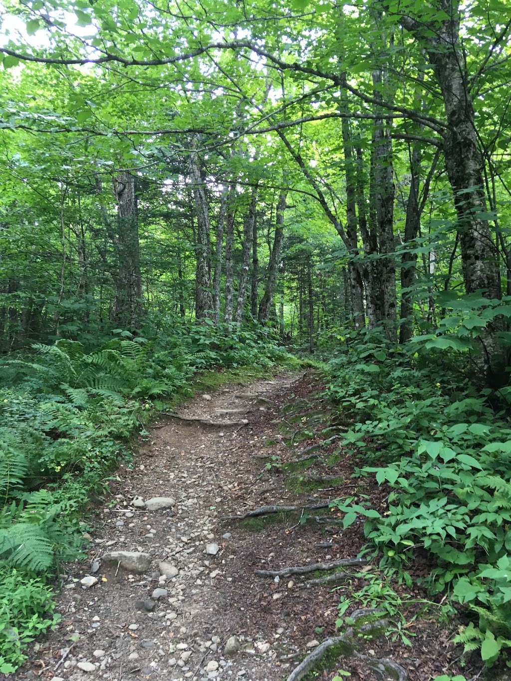 Mt.Magalloway Trailhead | Tower Rd, Pittsburg, NH 03592, USA