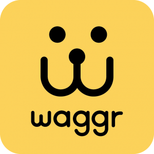 dog walking & boarding waggr durham | 1269 Belair Crescent, Oshawa, ON L1K 1G9, Canada | Phone: (416) 843-7344