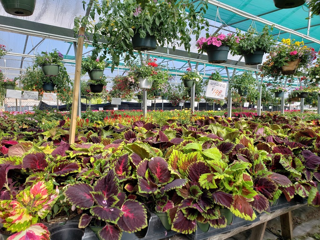 Jennys Garden Centre | 4888 Marine Dr, Burnaby, BC V5J 3G6, Canada | Phone: (604) 438-8867