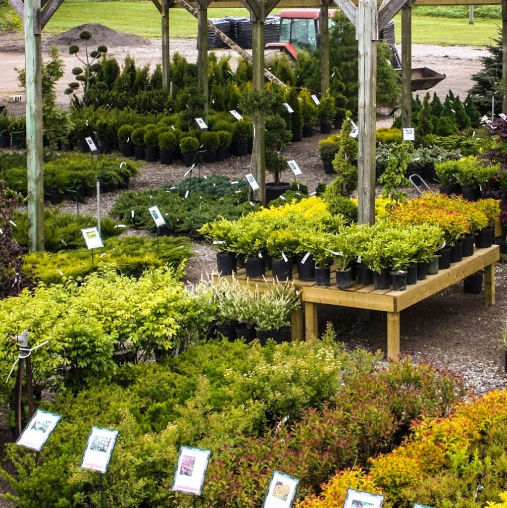 Paterno Nurseries | 334 ON-5, Dundas, ON L9H 5E2, Canada | Phone: (905) 689-6035