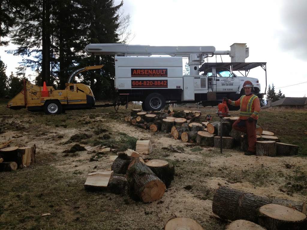 Arsenault Tree Service | 33746 Best Ave, Mission, BC V2V 6Z9, Canada | Phone: (604) 820-8842