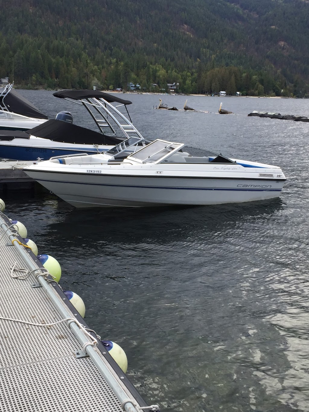 Christina Lake Marina | 173 Larson Rd, Christina Lake, BC V0H 1E1, Canada | Phone: (250) 447-6122