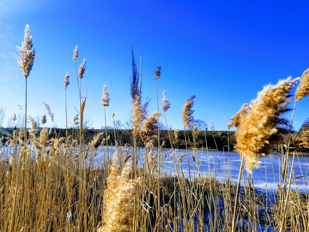 Kolb Park | Grand River North, Kitchener, ON N2B, Canada