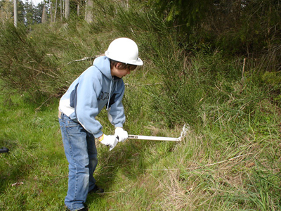 Pullerbear Tree and Invasive Weed Puller | 2913 Allenby Rd, Duncan, BC V9L 6V3, Canada | Phone: (877) 943-3607