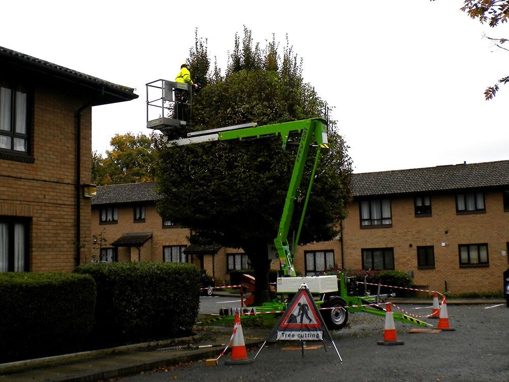 TAS Tree Removal & Pruning | 20 Rue de Lausanne, Kirkland, QC H9H 3Y6, Canada | Phone: (514) 701-2684