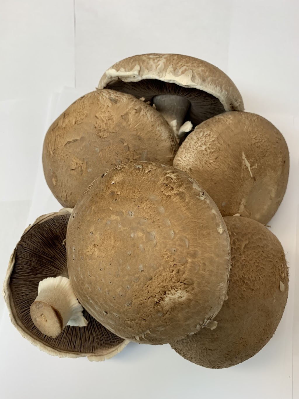 Unionville Mushroms far | 5395 19th Ave, Markham, ON L3P 3J3, Canada | Phone: (905) 640-2892