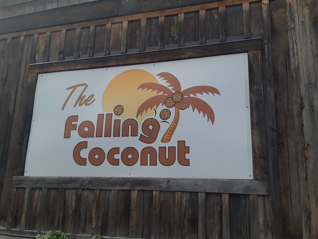 Falling Coconut | 506 Vernon St, Enderby, BC V0E 1V1, Canada