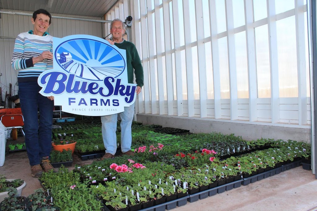 Bluesky Garden Centre | 2967 Beaton Rd, Coleman, PE C0B 1H0, Canada | Phone: (902) 807-0027