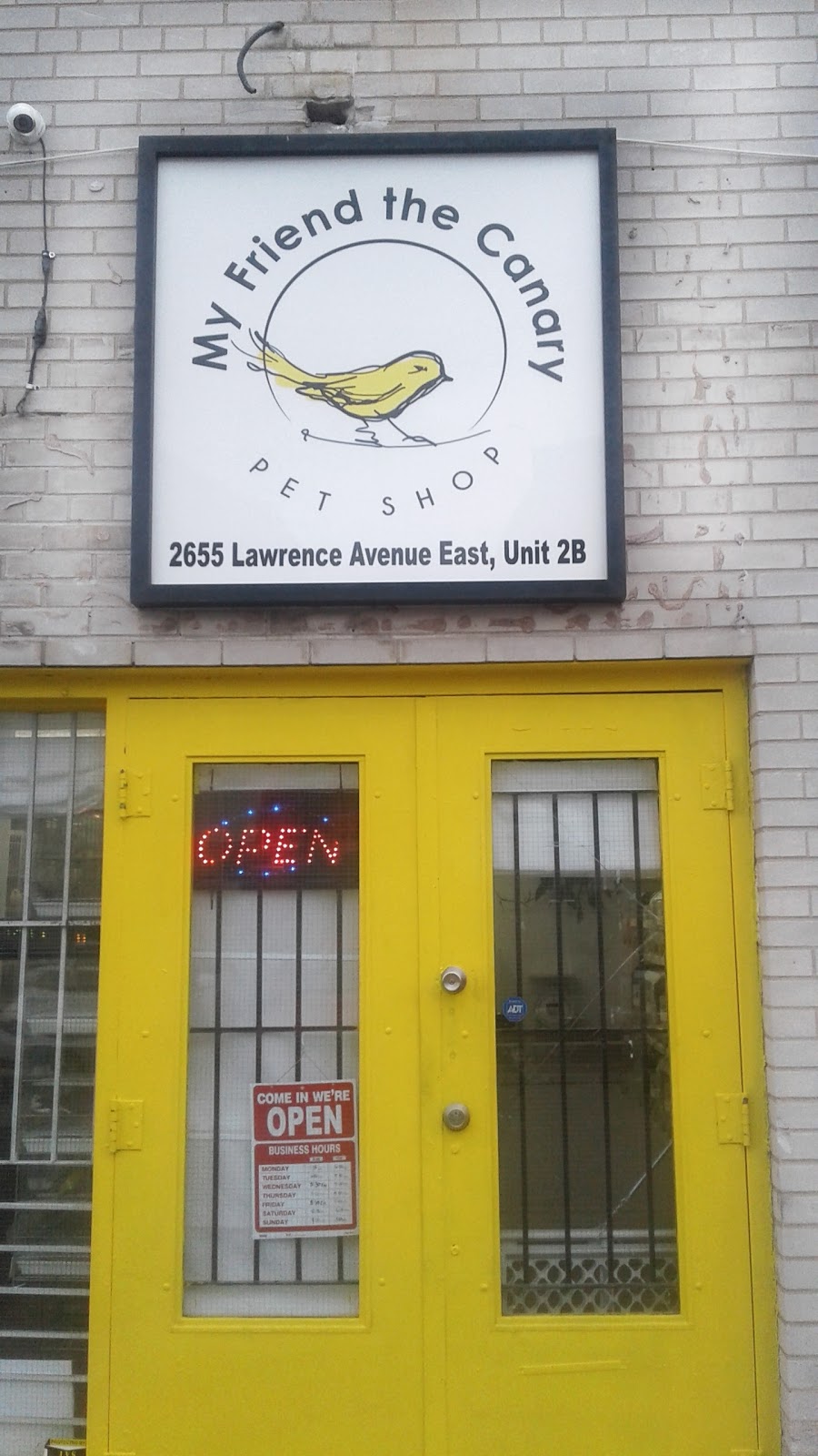 My Friend the Canary | 2655 Lawrence Ave E, Scarborough, ON M1P 2S2, Canada | Phone: (647) 550-0944