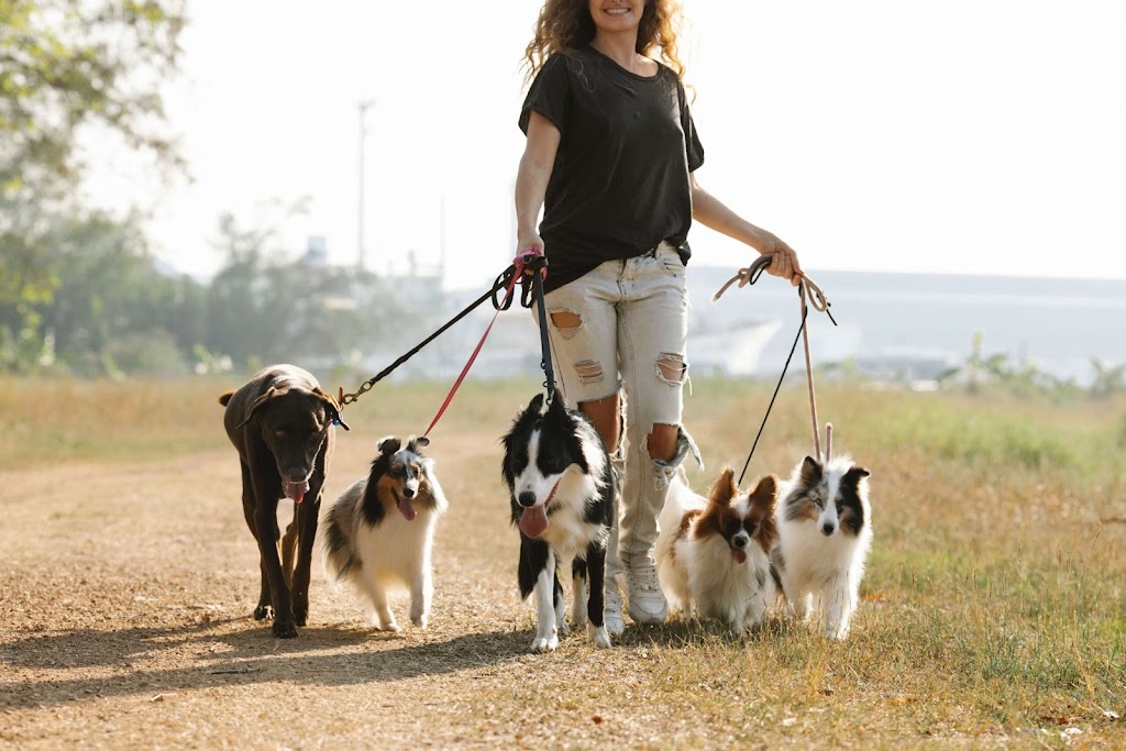 4Paws Dog Walking | 981 Kangaroo Rd, Victoria, BC V9C 4E1, Canada | Phone: (250) 300-5047