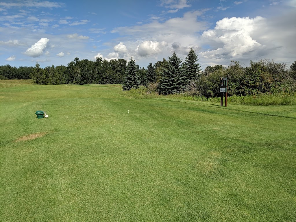 Gull Lake Golf Course | 2 Sunnyside Dr, Rimbey, AB T0C 2J0, Canada | Phone: (403) 843-3322