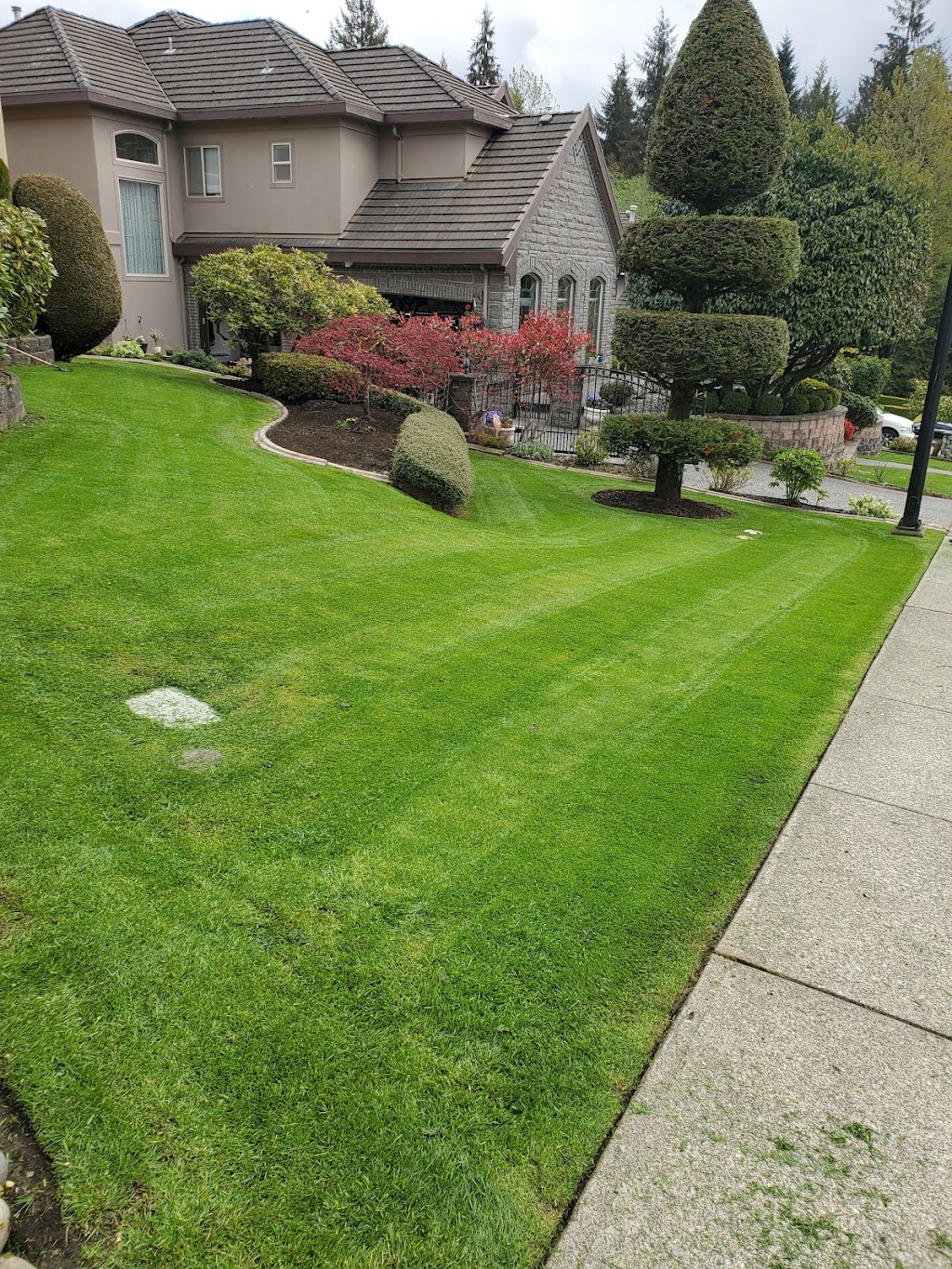 GSP Landscaping | 25345 40 Ave, Aldergrove, BC V4W 1X2, Canada | Phone: (778) 908-0671