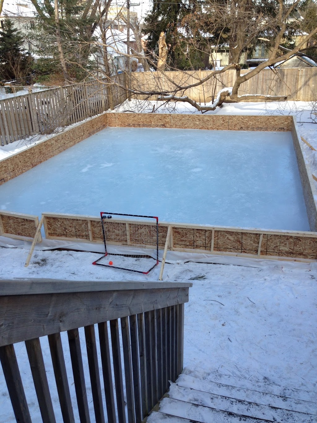 Rinks for you | 107 Birch Ave, Richmond Hill, ON L4C 6C7, Canada | Phone: (647) 402-1064