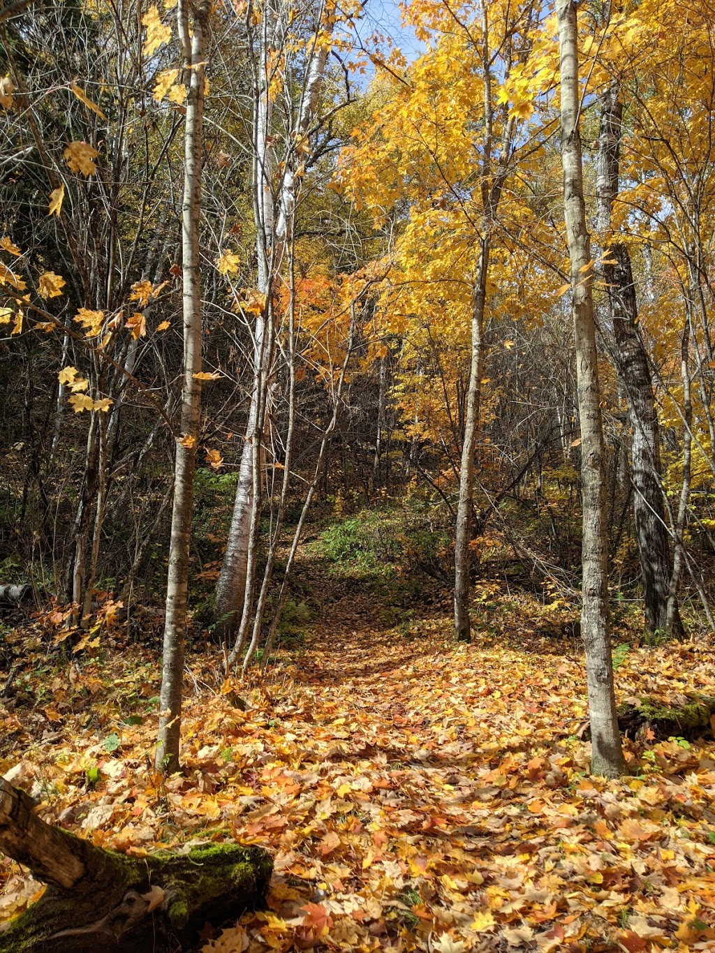 Sentier Du Promontoire Panoramique De La Baie Dominique | 44-210 Chem. Ferland, Saint-Michel-des-Saints, QC J0K 3B0, Canada | Phone: (450) 751-4219