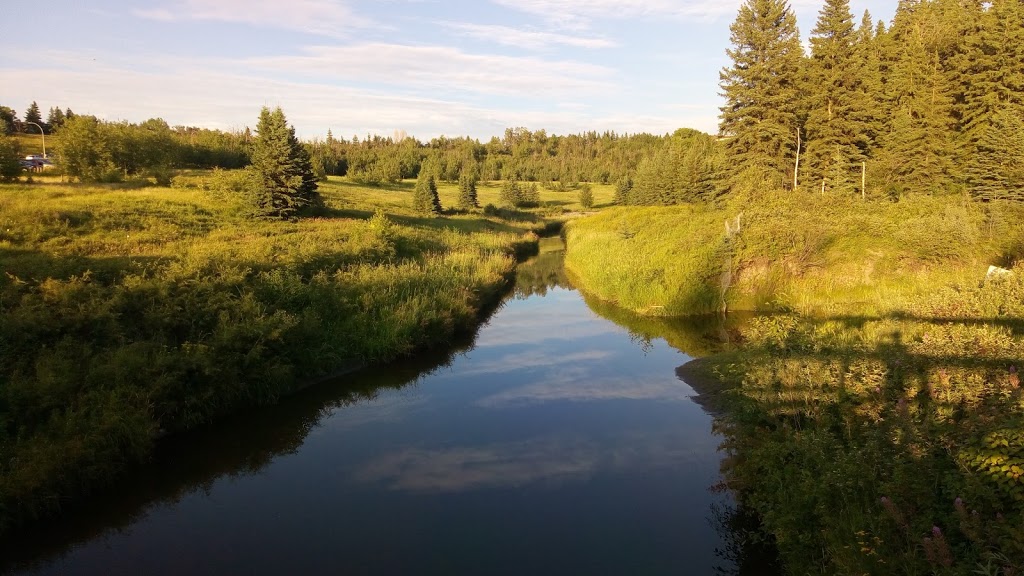 Larch Sanctuary | MacTaggart Sanctuary Trail Loop, Edmonton, AB T6J 5N2, Canada