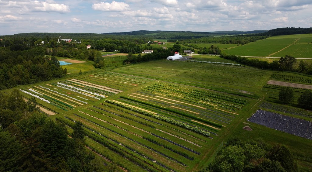 Coopérative CulturInnov | 136 Rue Miquelon, Saint-Camille, QC J0A 1G0, Canada | Phone: (819) 340-1836