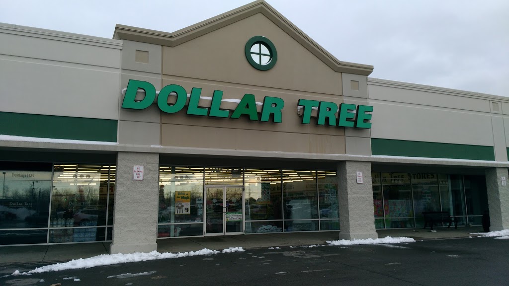 Dollar Tree | 6363 Transit Rd #2, Depew, NY 14043, USA | Phone: (716) 706-2907