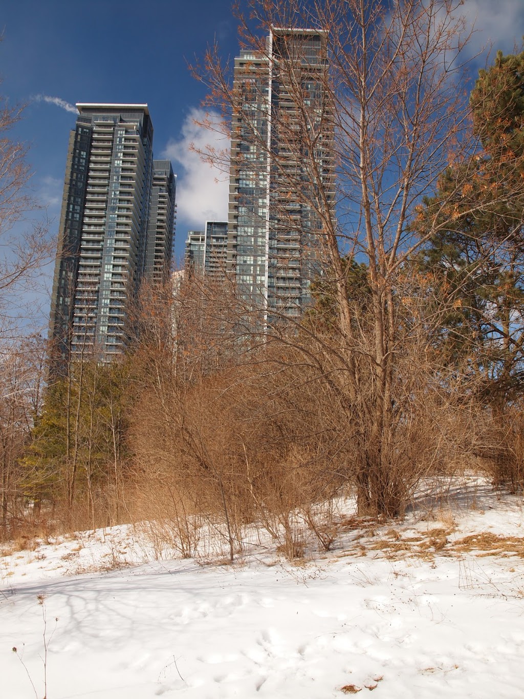 Humber Bay Park Rd E Parking | Humber Bay Park Rd E, Toronto, ON M8V, Canada